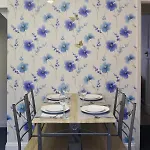 Entire Family Vacation . Wifi . Free Parking Apartment