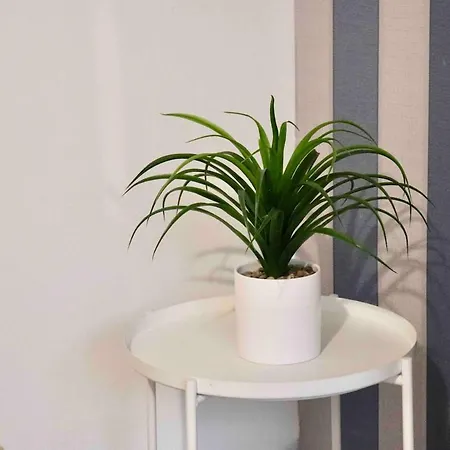 Entire Family Vacation . Wifi . Free Parking Apartament