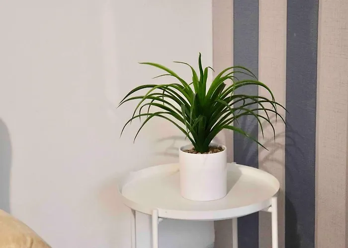 Entire Family Vacation . Wifi . Free Parking Appartement